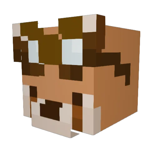 LemonToast1 Minecraft avatar head, 3D render