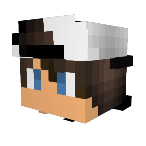 LemonTrout611 Minecraft avatar head, 3D render