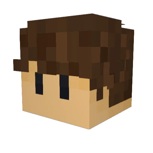 LemonWasTaken Minecraft avatar head, 3D render