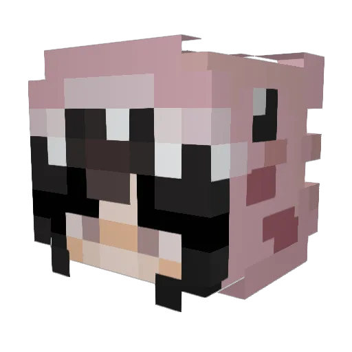 Lemon_Custard Minecraft avatar head, 3D render
