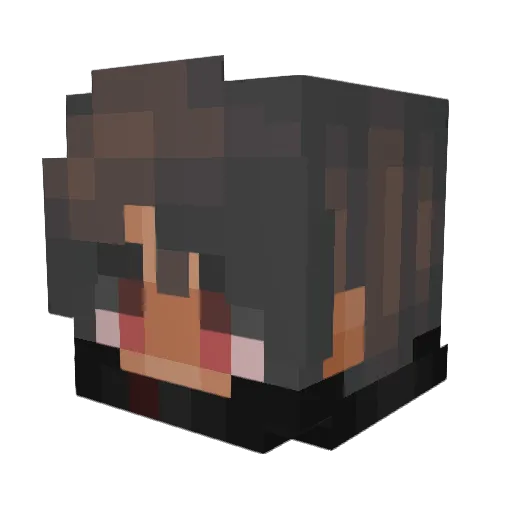 Lemon_Donuts Minecraft avatar head, 3D render