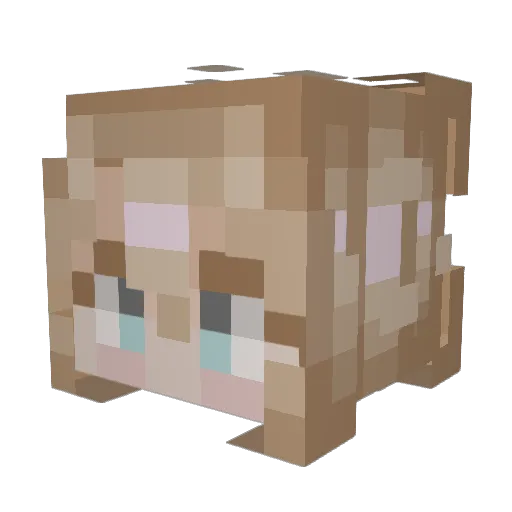 Lemon_Pepper69 Minecraft avatar head, 3D render