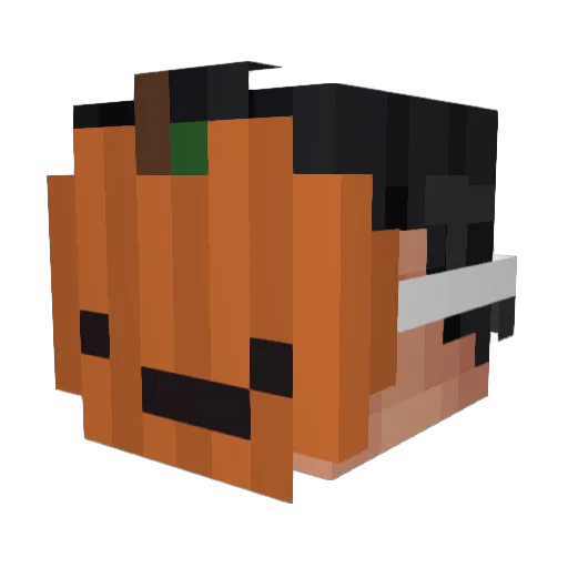 Lemonade_123 Minecraft avatar head, 3D render