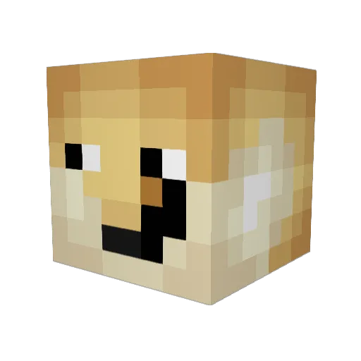 Lemonberries456 Minecraft avatar head, 3D render