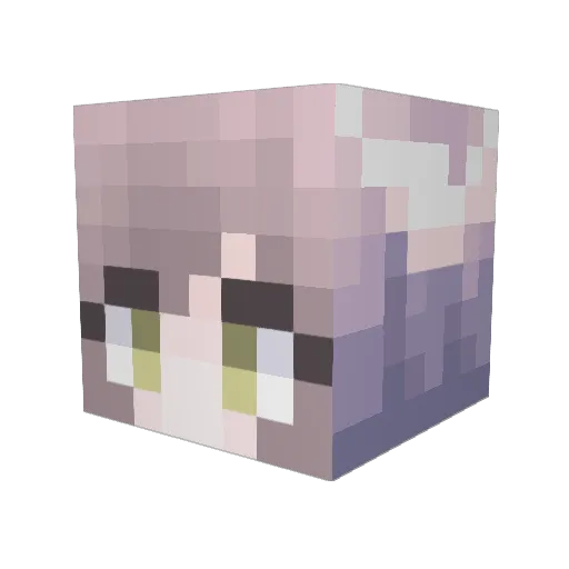 Lemoncandy11 Minecraft avatar head, 3D render
