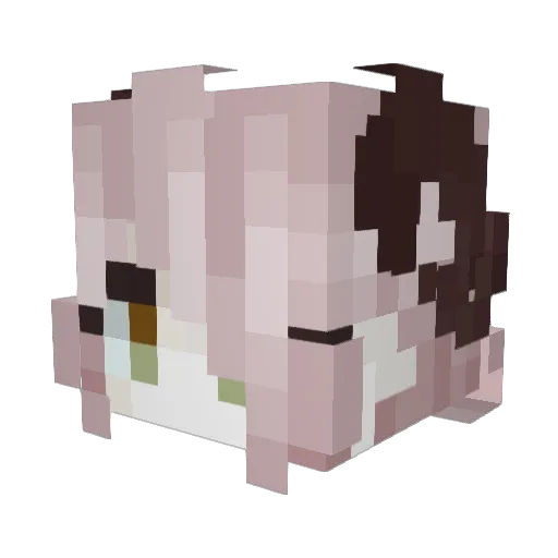 Lemonfloe Minecraft avatar head, 3D render