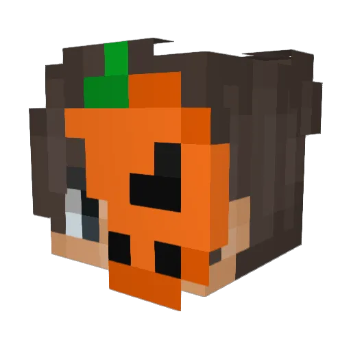 LemonnIsCool Minecraft avatar head, 3D render