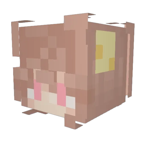Lemonr96 Minecraft avatar head, 3D render