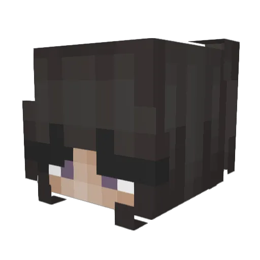 Lemons81 Minecraft avatar head, 3D render