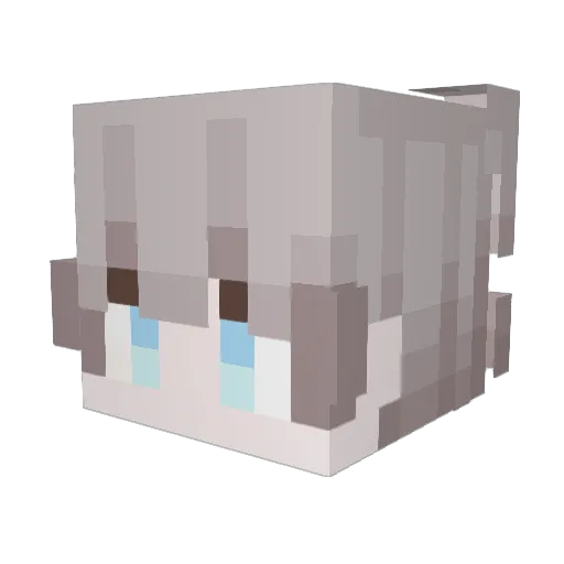 LemonsRains Minecraft avatar head, 3D render