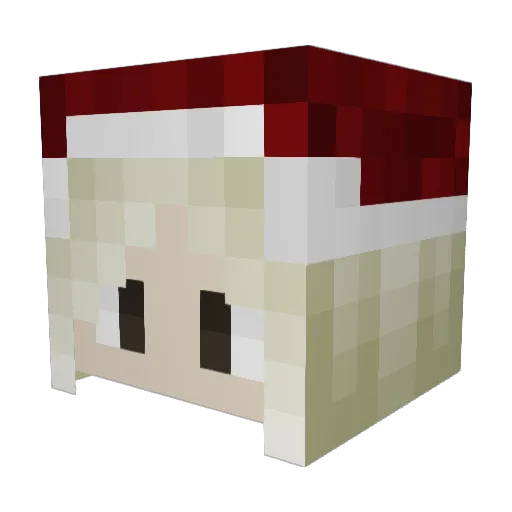 Lemonsoupp_ Minecraft avatar head, 3D render