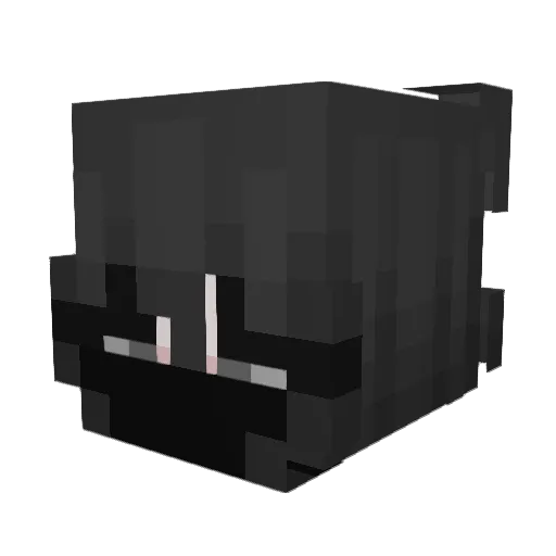 LemonyBearr Minecraft avatar head, 3D render