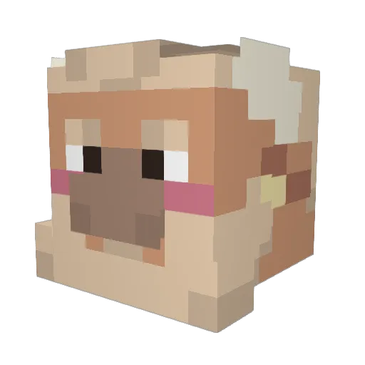 LemyBlitz Minecraft avatar head, 3D render