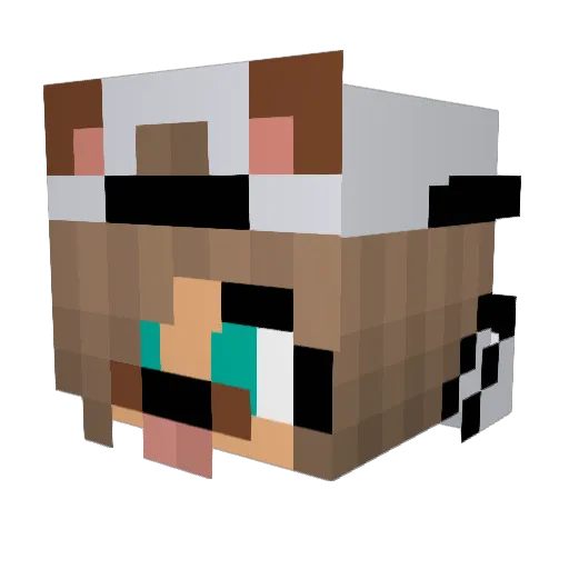 Lena0511 Minecraft avatar head, 3D render