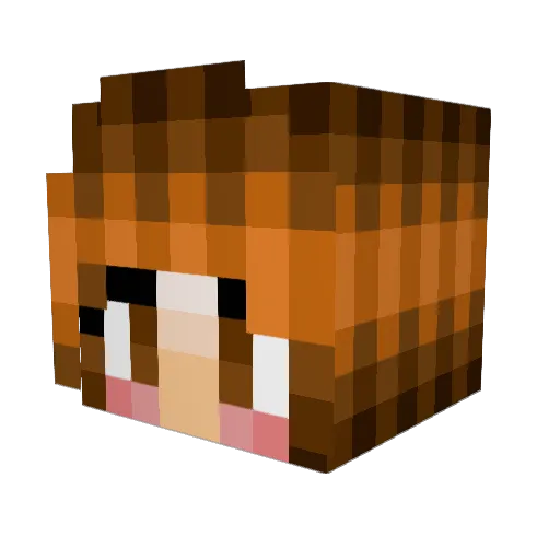 Lena1006 Minecraft avatar head, 3D render