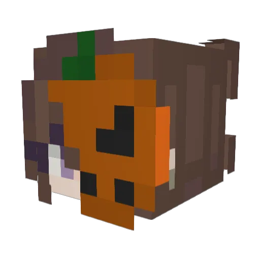 Lena1310_ Minecraft avatar head, 3D render