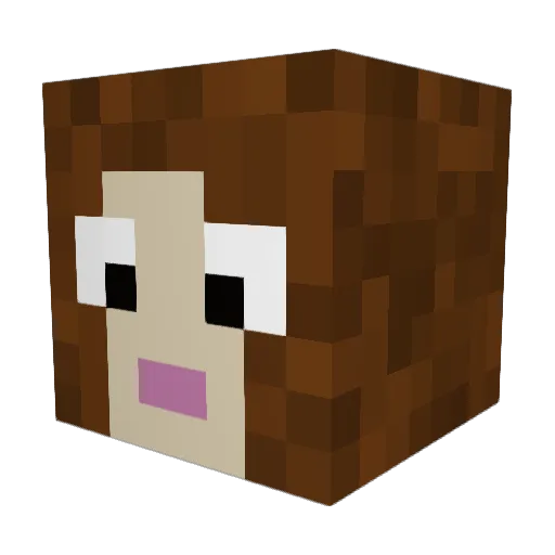 Lena2593 Minecraft avatar head, 3D render