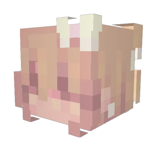 Lena_134 Minecraft avatar head, 3D render