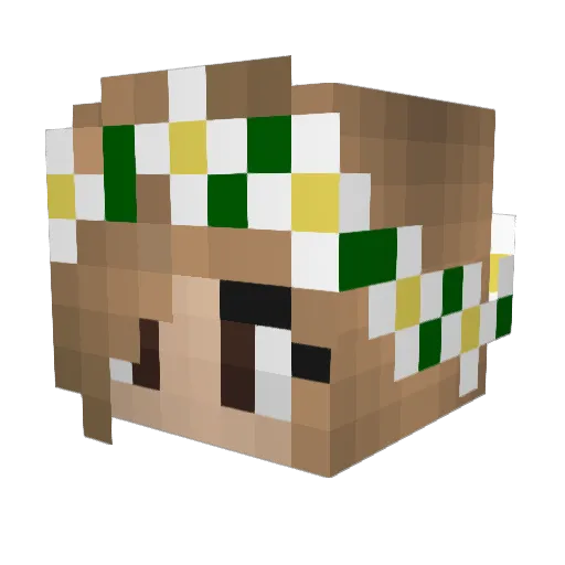Lenaagl03 Minecraft avatar head, 3D render