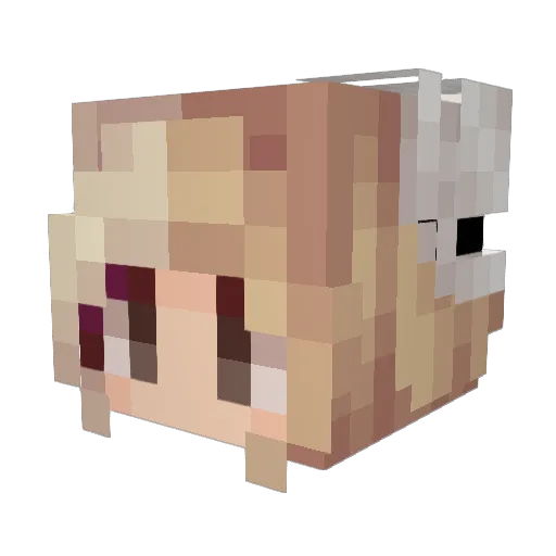 Lenainnitxo Minecraft avatar head, 3D render