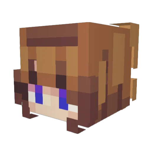 Lenan1206 Minecraft avatar head, 3D render