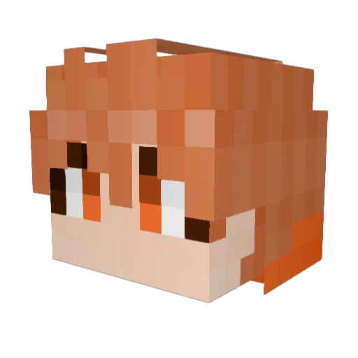 Lenarn Minecraft avatar head, 3D render