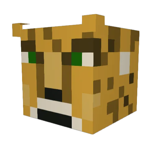 Lenchard Minecraft avatar head, 3D render