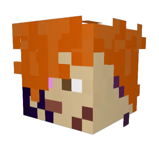 Lencodeur Minecraft avatar head, 3D render