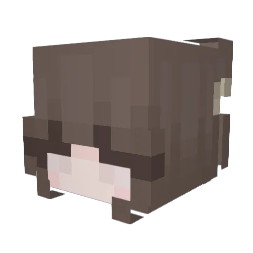 Lenczyk012 Minecraft avatar head, 3D render