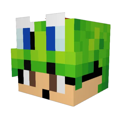 Lendan_ Minecraft avatar head, 3D render