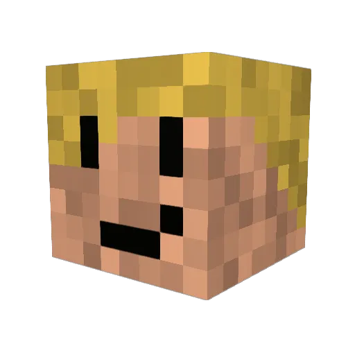 Lendax Minecraft avatar head, 3D render