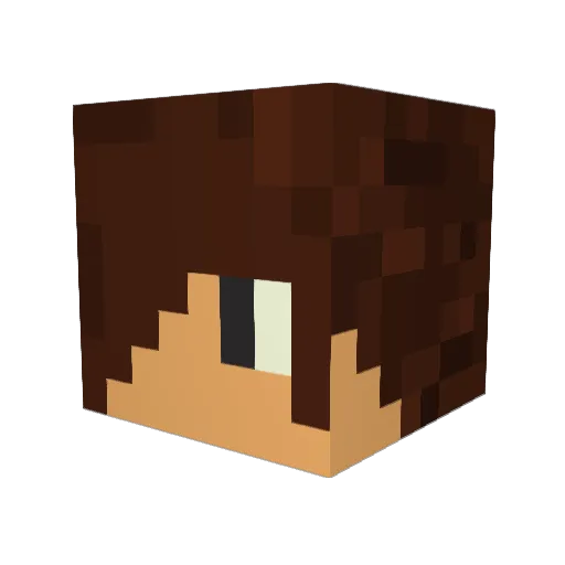 Lendros23 Minecraft avatar head, 3D render