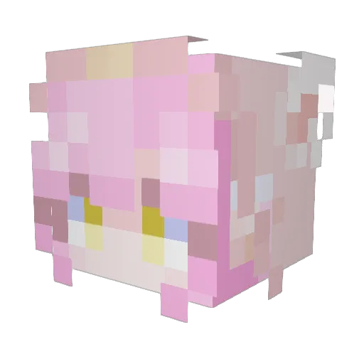 Lenebean Minecraft avatar head, 3D render
