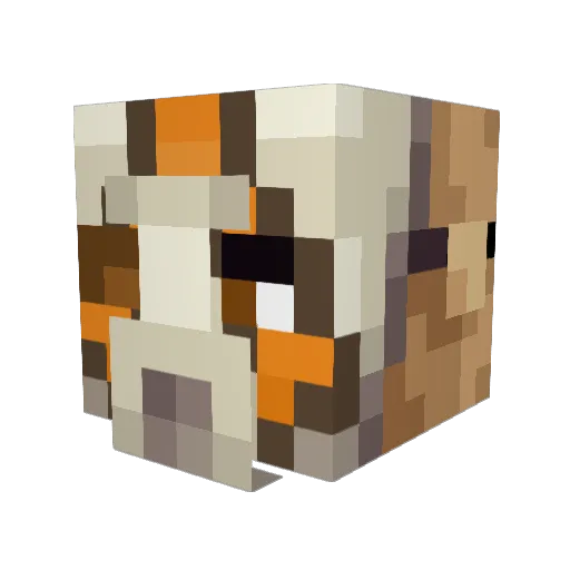 Lenergizer Minecraft avatar head, 3D render