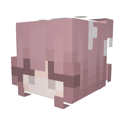 LengNin Minecraft avatar head, 3D render