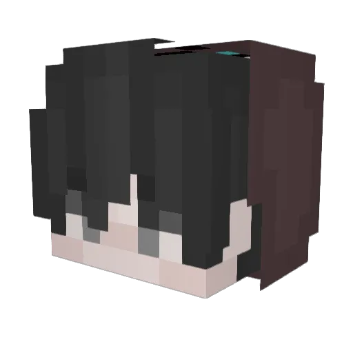 Leng_Hes Minecraft avatar head, 3D render
