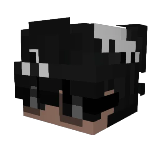 Lenifishy Minecraft avatar head, 3D render