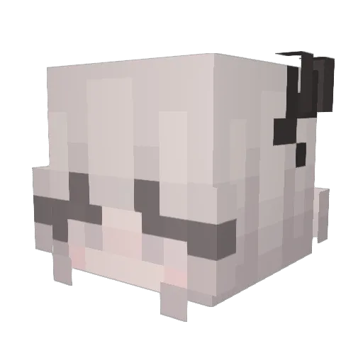 Leniiii06 Minecraft avatar head, 3D render
