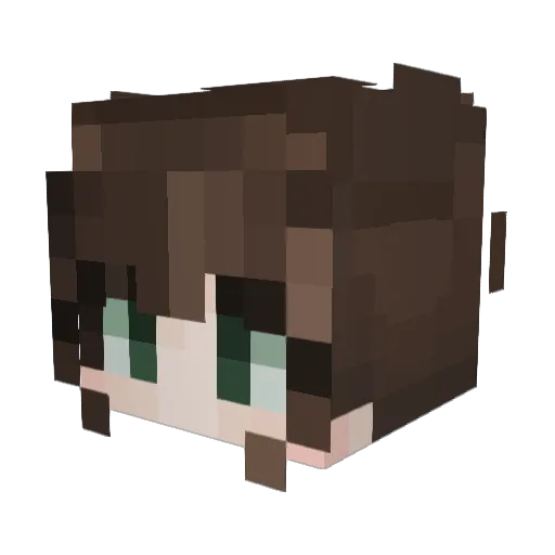 Lenimix Minecraft avatar head, 3D render
