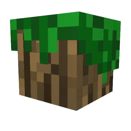 LennWood Minecraft avatar head, 3D render