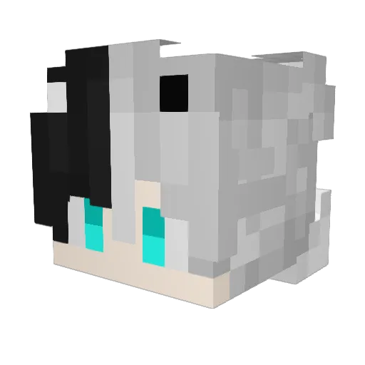 Lennartheleen Minecraft avatar head, 3D render