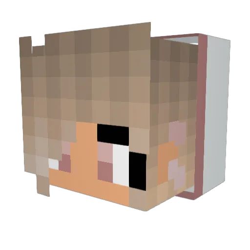 LenniSplash Minecraft avatar head, 3D render