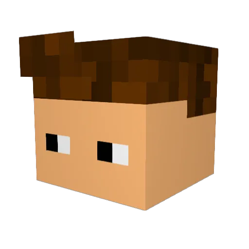 Lenny46 Minecraft avatar head, 3D render