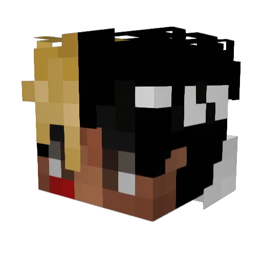 LennyDown Minecraft avatar head, 3D render