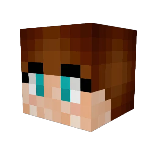 LennyLeroy Minecraft avatar head, 3D render