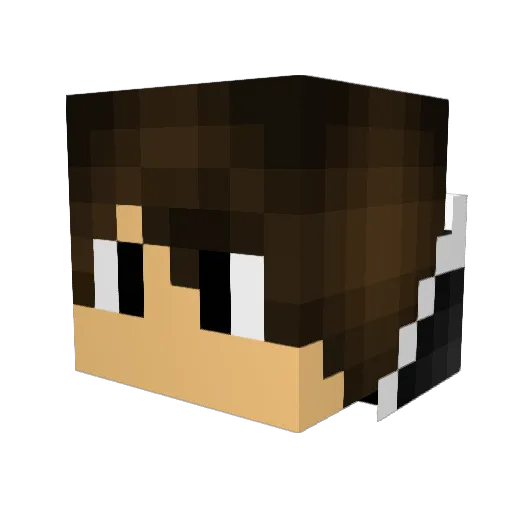 LennyM1701 Minecraft avatar head, 3D render