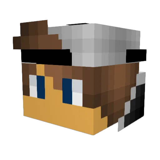 LennyMango13 Minecraft avatar head, 3D render