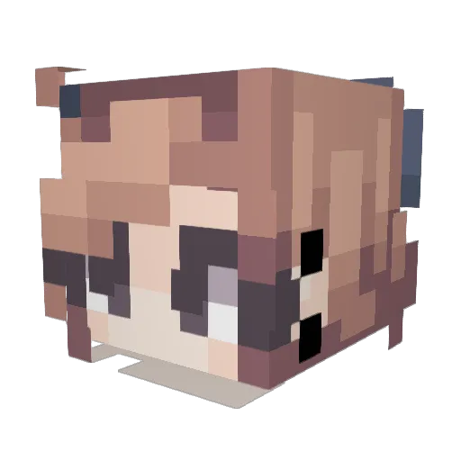 Lenny_Souup Minecraft avatar head, 3D render