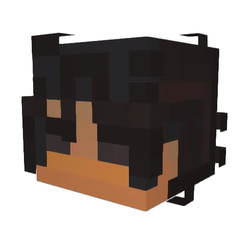 Lennymorfer14 Minecraft avatar head, 3D render