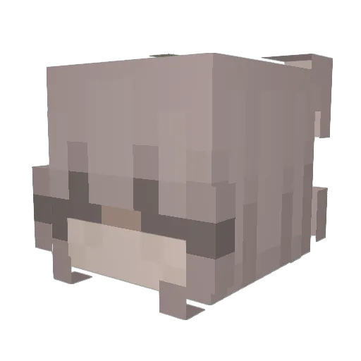 Lenor565 Minecraft avatar head, 3D render
